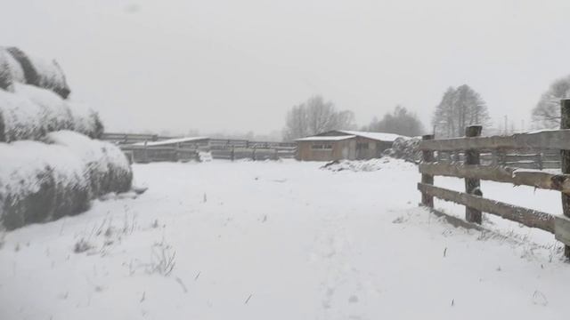 Ух... 🤫натерпелись мы вчера... 😃🥺,. Снегопад... ❄❄❄ смотреть онлайн
