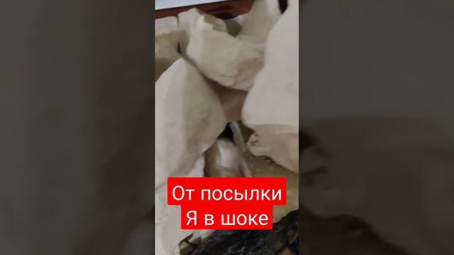 Посылка 30 кг (семечка неочищенная от Янюты) смотреть онлайн