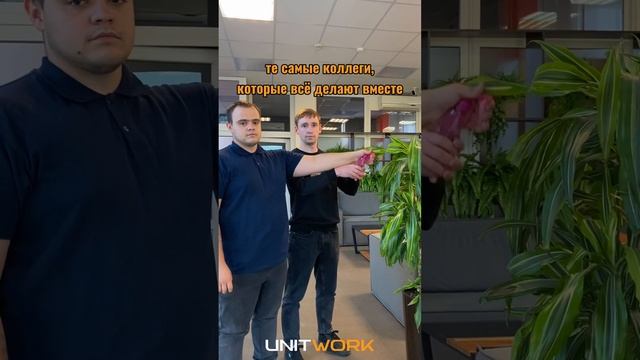 У всех есть такие коллеги