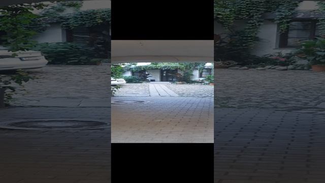 1000084534.mp4 смотреть онлайн