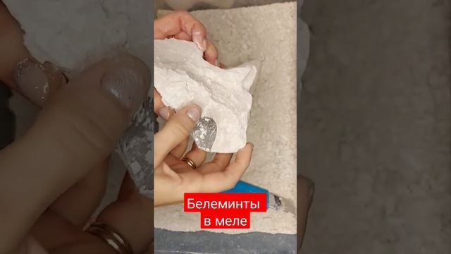 Нашла белемниты в меле! ❤️❤❤️ смотреть онлайн