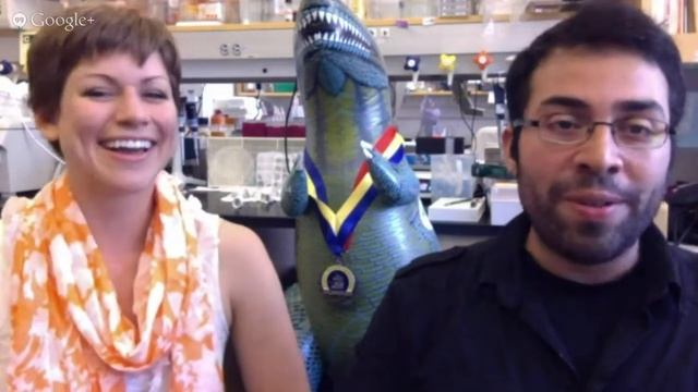 Faking It: Neuroscience of Memory смотреть онлайн