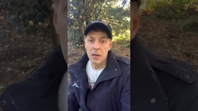 О дружбе... смотреть онлайн