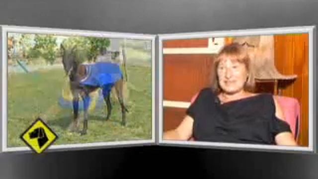 Maria ester haristoy pelusa смотреть онлайн
