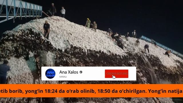 Жиззахда бунакаси булган дахшат смотреть онлайн