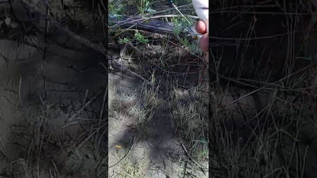 28 августа 2024 г. смотреть онлайн