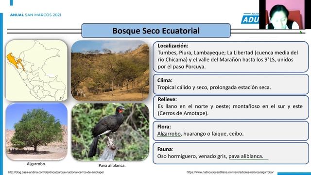 22. ECOSISTEMAS DEL PERÚ II - 11 ECORREGIONES смотреть онлайн