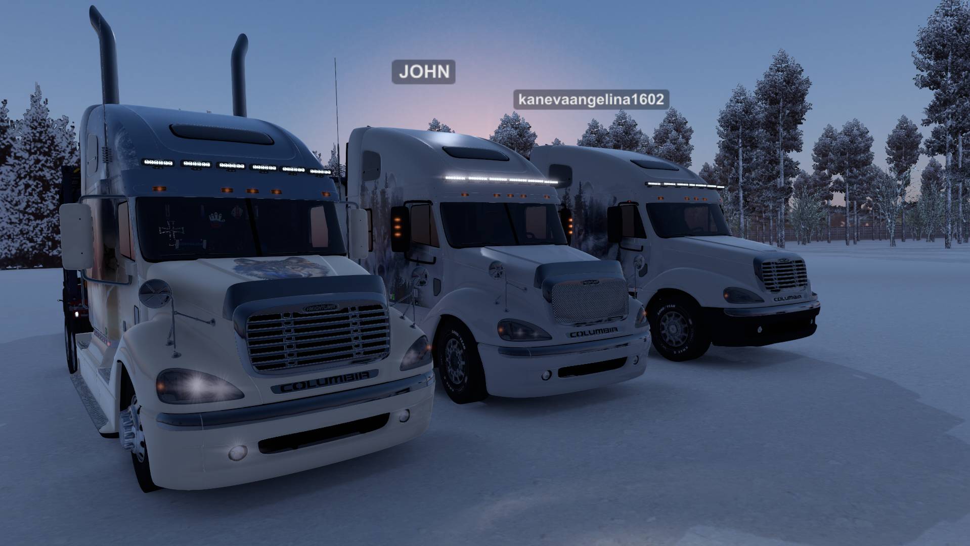 ETS 2 на носатых
