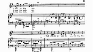 09. Цветы мельника (Des Müllers Blumen) — Ф. Шуберт | Исполняет Андрей Киселев