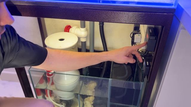 ОБЗОР МОРСКОГО АКВАРИУМА НА 200 ЛИТРОВ смотреть онлайн