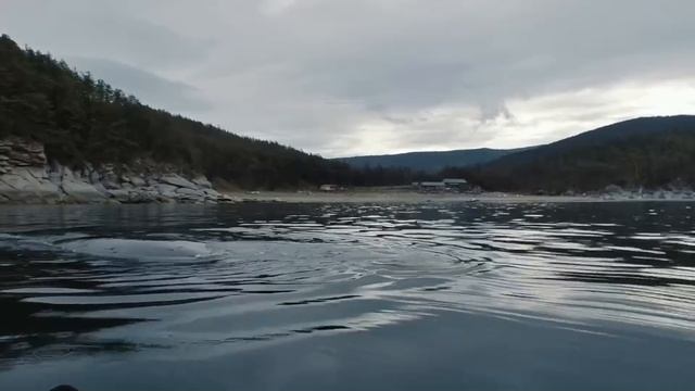 киты смотреть онлайн