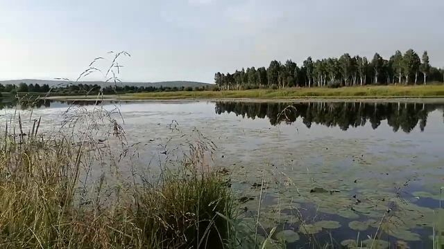 Летний вечер на озере