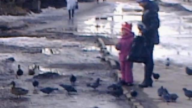 Утки в Рязани 04.04.2012г..3gp смотреть онлайн