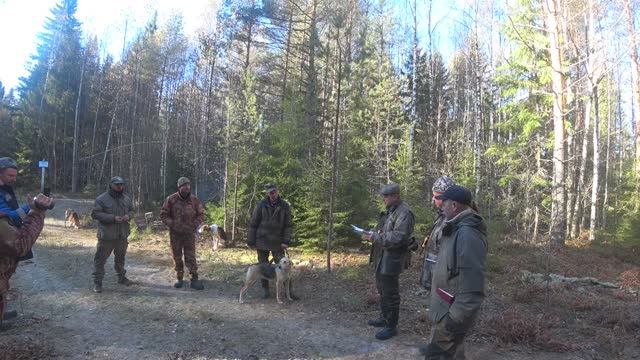 РГ Побудка (Стрелка)(2,5года) ВПКОС 7132/24.13-е межрегиональные состязания Мемориал Р.И. Шияна 2024