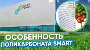 Поликарбонат SMART от Полигаль Восток: инновации и качество – мнение эксперта! 🌤🌱
