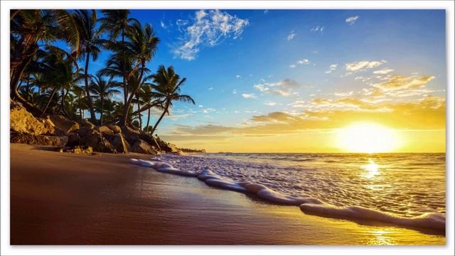 reflections_by_romanov_studio смотреть онлайн