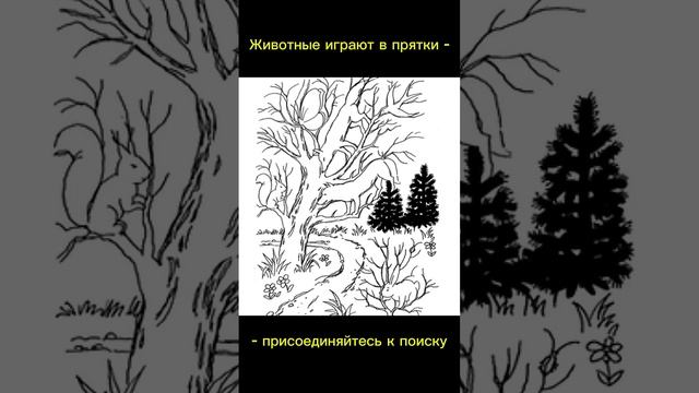 Тест на внимательность смотреть онлайн