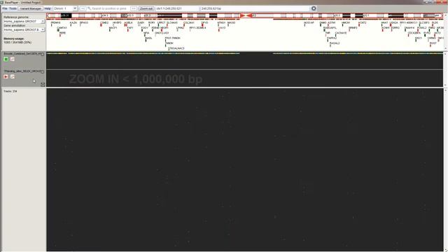 Calculating affinity score changes of mutated transcription factor binding sites in BasePlayer смотреть онлайн