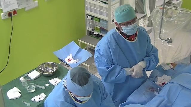 Záznam přenosu zákroku z 31.10.2014 смотреть онлайн