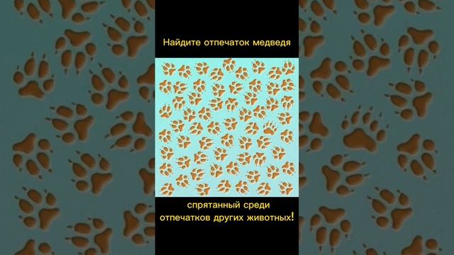 Тест на внимательность смотреть онлайн