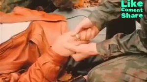 ДМБ, братья Алиевы и генерал Талалаев