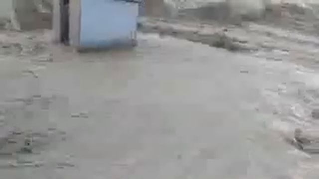 Сели Калон Циникул ? смотреть онлайн