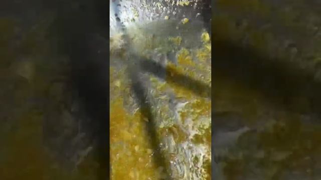 Creamy lemon ricotta rigatoni! 🍋 смотреть онлайн