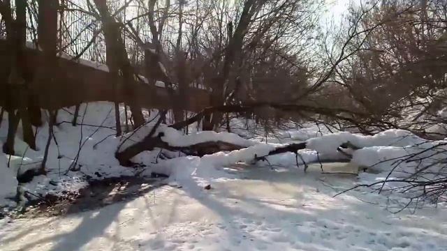 на болоте долбим лёд смотреть онлайн