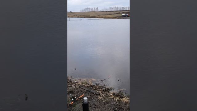 рыбалка смотреть онлайн