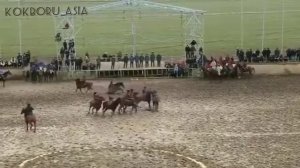 Манас Ниязов Бойка аргымагы менен