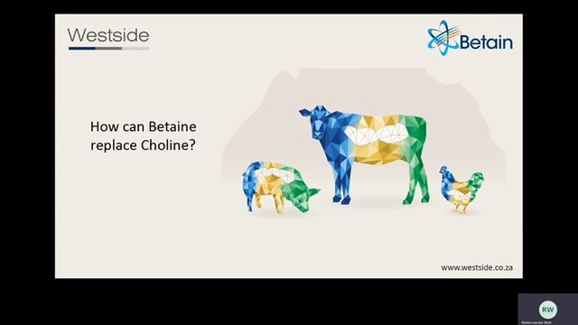 Betain96 | Interview with Dr Heinri Spangenberg about Betaine смотреть онлайн