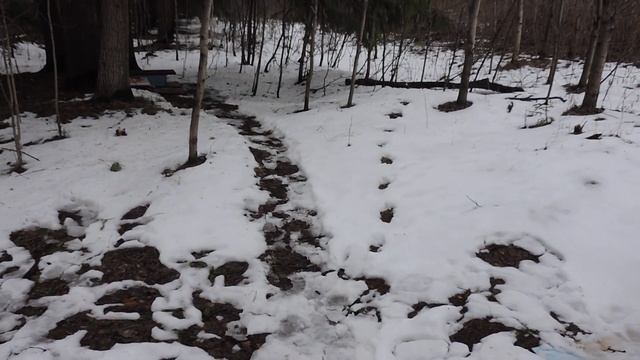 А снег начал таять в лесном уголке смотреть онлайн