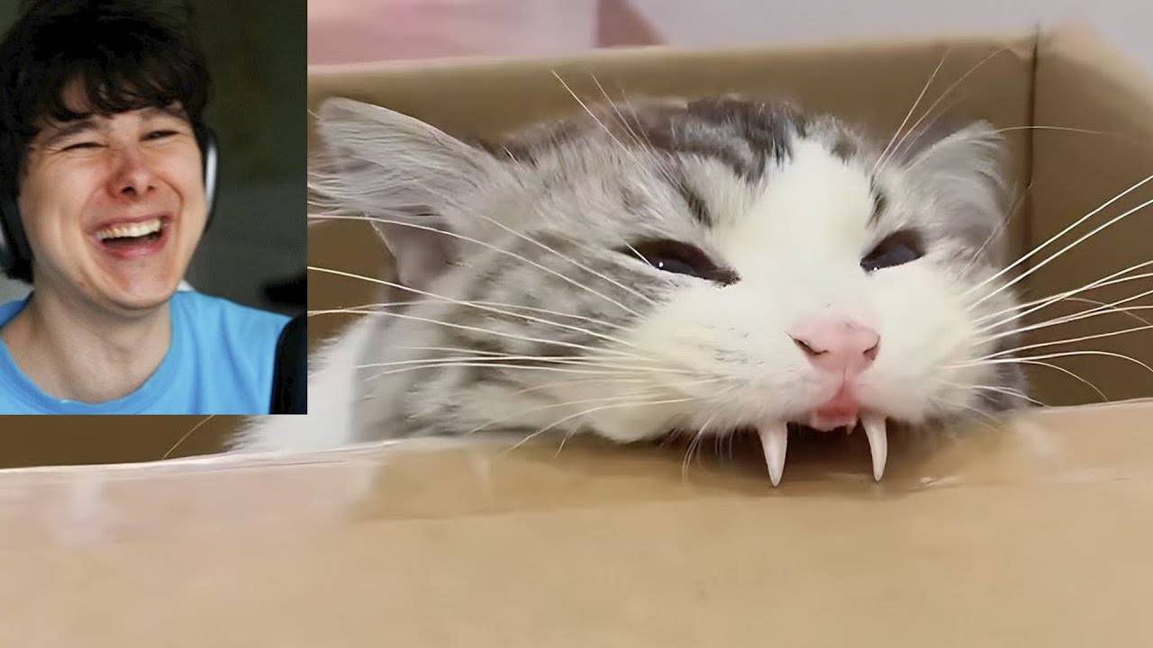 587 СЕКУНД СМЕХА. смотреть онлайн