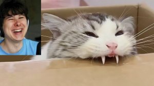 587 СЕКУНД СМЕХА.