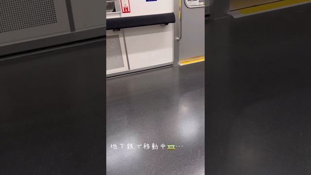 産後２ヶ月 糖負荷試験検査日 久々赤ちゃん連れ外室 地下鉄移動 смотреть онлайн