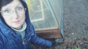 Видео привет с 6 соток 19 ноября 2024 года.