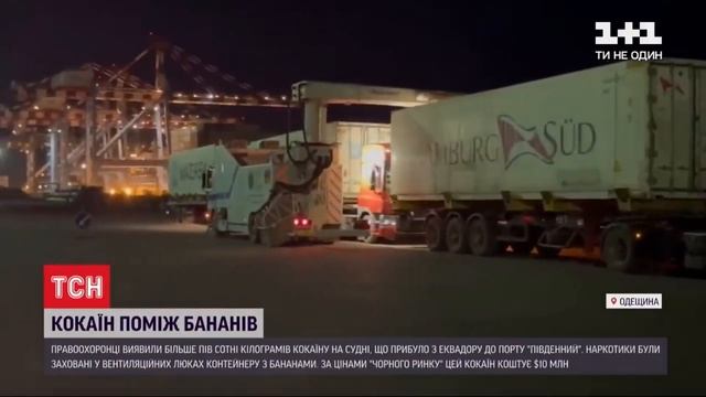 У контейнері з бананами виявили 46 брикетів кокаїну смотреть онлайн
