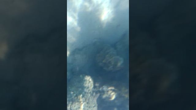 Египет. 21 декабря 2021. первое погружение смотреть онлайн