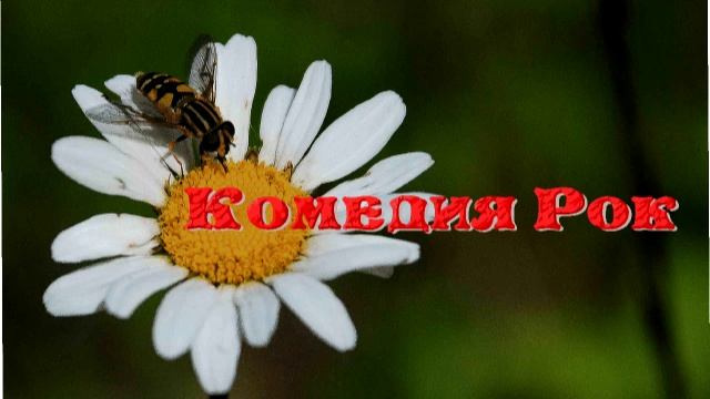 КОМЕДИЯ РОК Дразнишь Облака!. смотреть онлайн
