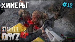 ТИХАЯ ДЕРЕВНЯ И ХИМЕРЫ. DAYZ STALKER RP 12 серия (Перезалив MALAMADROS LIFE)
