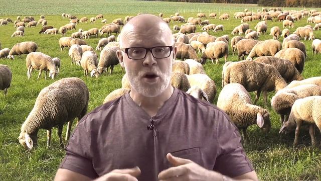 Keto22 - Keto is NOT a Fad смотреть онлайн