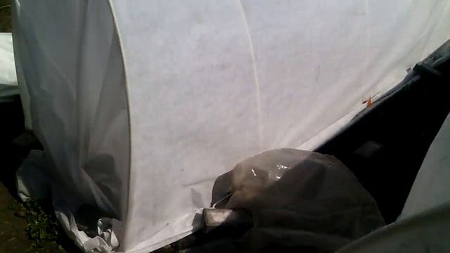 Наш сад 5 июня 2019 г. смотреть онлайн