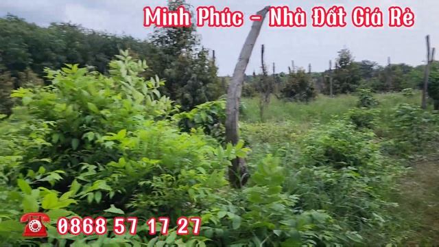 Đất vườn chưa qua đầu tư, gần ql, gần chợ (40x76 có 100m thổ cư) chỉ 950tr bao sổ смотреть онлайн