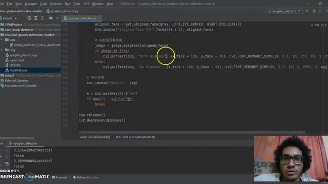 Eye Glasses Detection in Real-time смотреть онлайн