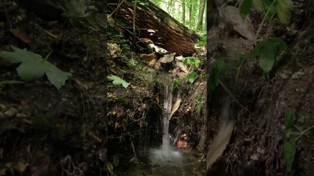 #like #видео #2024 #подписаться смотреть онлайн