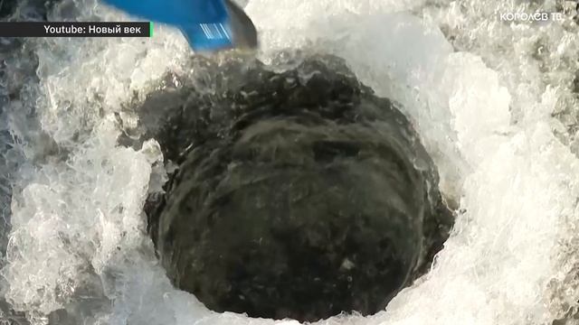 Подмосковный лёд стал опасен для любителей зимней рыбалки смотреть онлайн