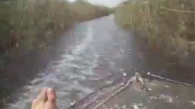 в плавнях... смотреть онлайн