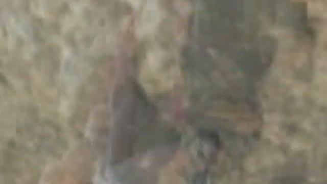 Verrà il tempo смотреть онлайн