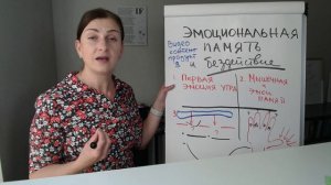 ЭМОЦИОНАЛЬНАЯ ПАМЯТЬ И БЕЗДЕЙСТВИЕ НОВ ЭПИЗОД