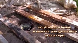 Мало кто это знает. Как сушить абрикосы на курагу в домашних условиях